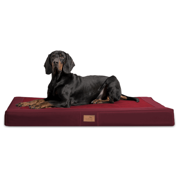 os al 04 dunkelrot orthopaedische hundematratze oscar tierlando soft design hundematte xxl 1.png