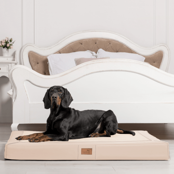 os al 05 creme orthopaedische hundematratze oscar tierlando soft design hundematte xxl 3.png