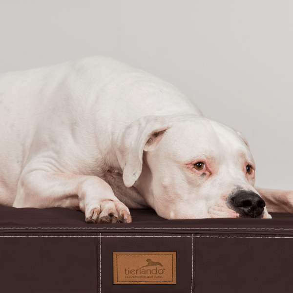 oscar easy clean orthopädische hundematratze