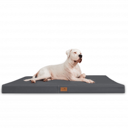 os ll 02 graphit tierlando orthopaedische hundematratze oscar kunstleder xxl 1.png