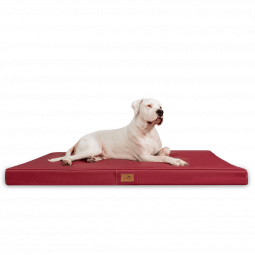 os ll 04 dunkelrot tierlando orthopaedische hundematratze oscar kunstleder xxl 1.png