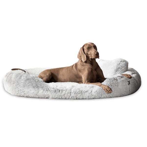 pam 20 weissgrau tierlando orthopaedisches hundebett pamela shaggy kuschelig gemuetlich weich 1.png