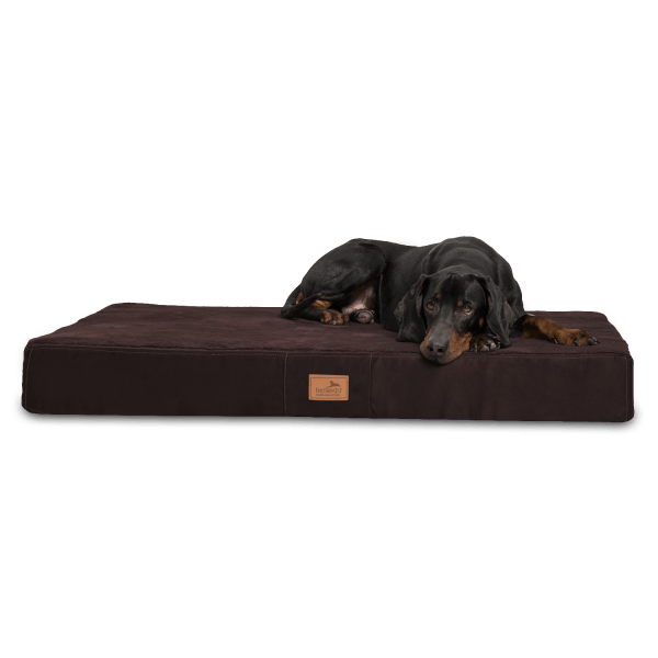 stu 01 braun orthopaedisches hundebett stuart visco plus tierlando pluesch velours ultraweich xxl hun.png
