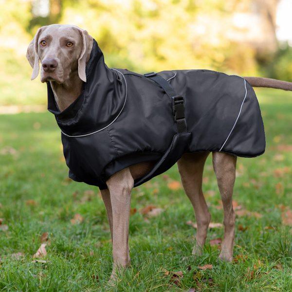 tierlando amy hundejacke hundemantel winter warm grosse hunde 1500x1500px 01 schwarz.jpg