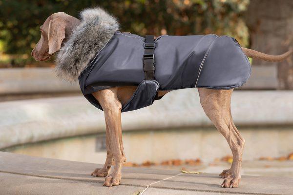 tierlando ely hundejacke hundemantel winter warm grosse hunde 1500x1000px graphit. 2.jpg