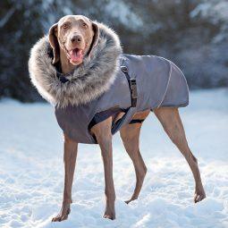 tierlando ely hundejacke hundemantel winter warm grosse hunde 1500x1500px 7b.jpg