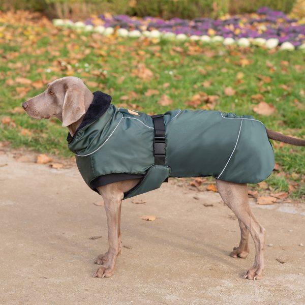 tierlando ivy hundejacke hundemantel winter warm grosse hunde 1500x1500px 1 gruen.jpg
