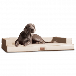 tierlando gibson orthopaedisches hundebett kunstleder 05 creme 1 1.png