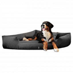 tr 02 graphit trivia tierlando hundebett orthopaedisch eckbett dreieck pflegeleicht xxl xxxl 1 3.png
