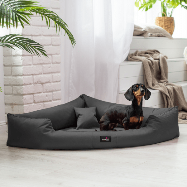 tr 02 graphit trivia tierlando hundebett orthopaedisch eckbett dreieck pflegeleicht xxl xxxl 3.png