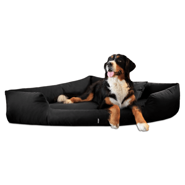 tr 03 schwarz trivia tierlando hundebett orthopaedisch eckbett dreieck pflegeleicht xxl xxxl 1.png