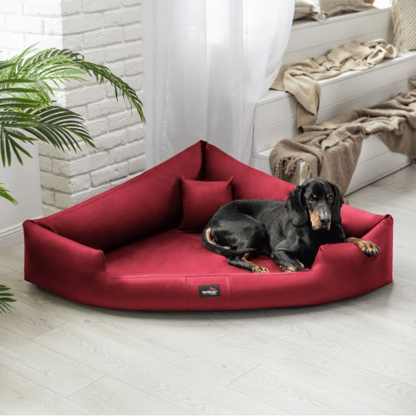trv l 04 dunkelrot tierlando orthopaedisches hundebett hundebetten visco memory foam dreieck kunstle 2.png