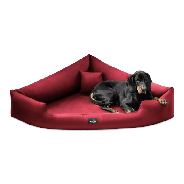 trv l 04 dunkelrot tierlando orthopaedisches hundebett hundebetten visco memory foam dreieck kunstle.png