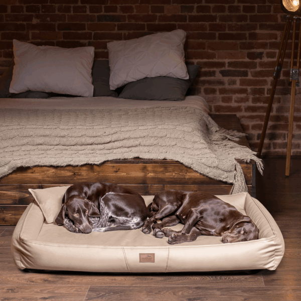 sale | clifford orthopädisches hundebett | beige | 85x60cm