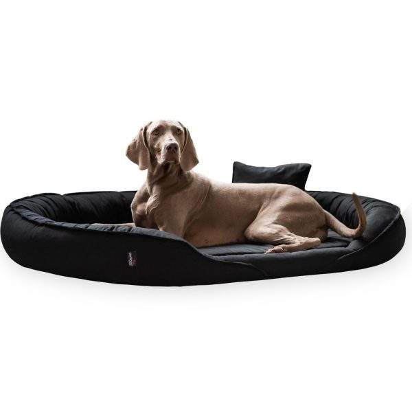 clarissa orthopädisches hundebett