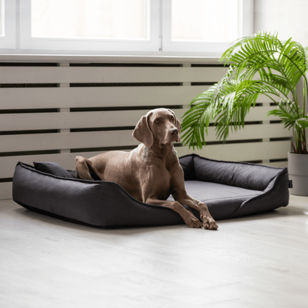 clemens orthopädisches hundebett aus strapazierfähigem baumwollstoff