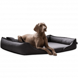 clemens orthopädisches hundebett aus strapazierfähigem baumwollstoff