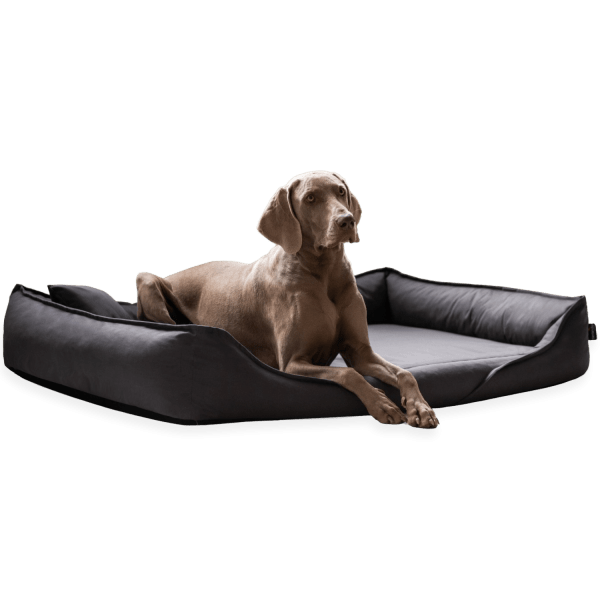 clemens orthopädisches hundebett aus strapazierfähigem baumwollstoff