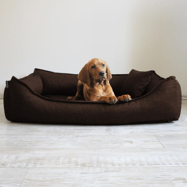 donald orthopädisches hundebett