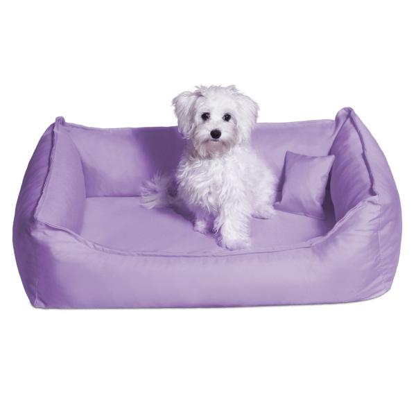 sale | donald orthopädisches hundebett | flieder | 80x60cm