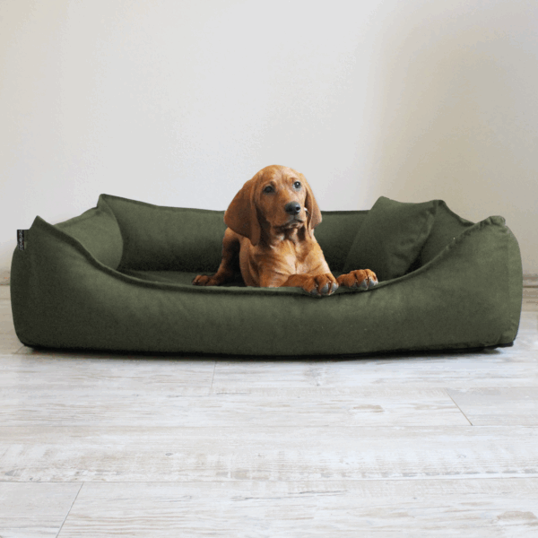 sale | donald orthopädisches hundebett | flieder | 80x60cm