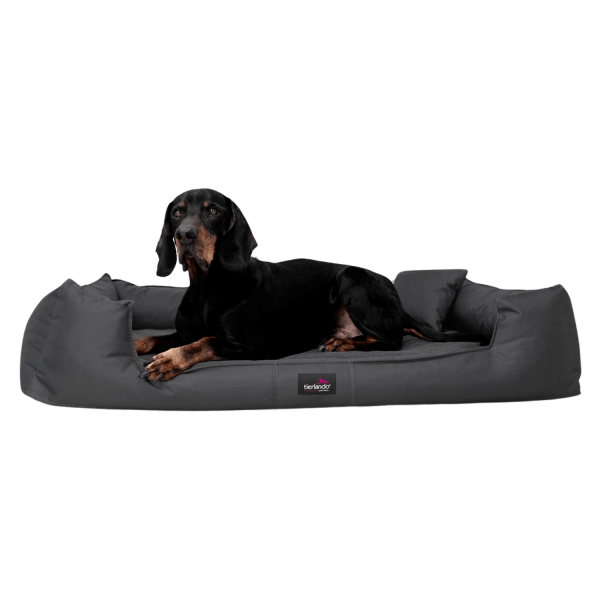 goofy orthopädisches hundebett