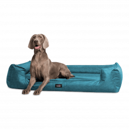g3 l38 petrol meliert goofy orthopaedisches hundebett tierlando xxl 1.png