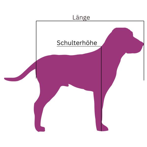 clarissa orthopädisches hundebett