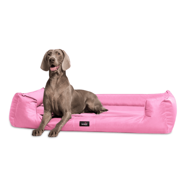 sale | goofy orthopädisches hundebett | rosa | 130x100cm