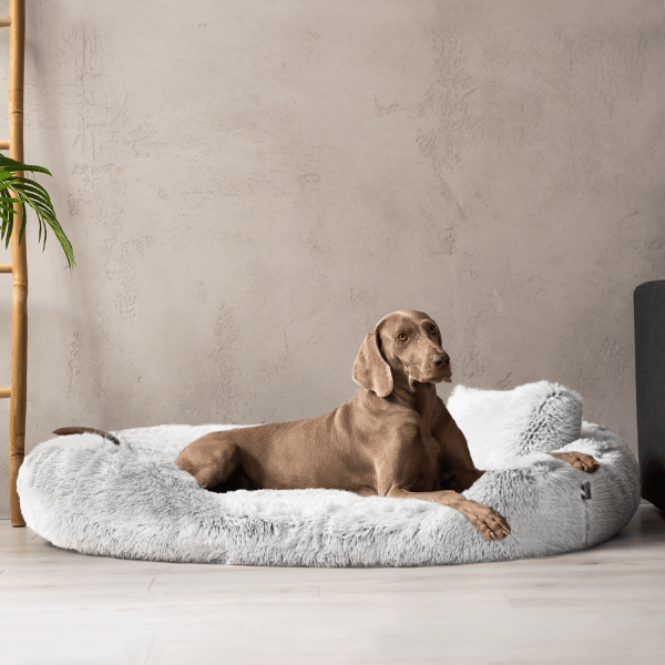 sale | pamela shaggy orthopädisches hundebett | weißgrau | 115x90cm