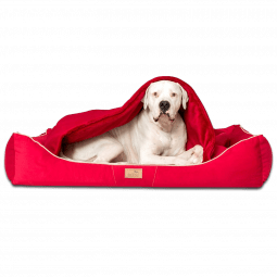 rudolph tierlando orthopaedisches hundebett hundesofa weich hochwertig winterbett xxxl xxl winter 04 dunkelrot 1 1 2.png