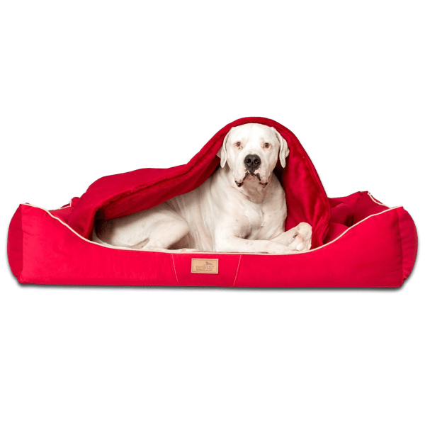 rudolph orthopädisches hundebett, inkl. schonbezug