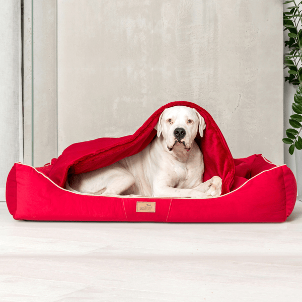 rudolph orthopädisches hundebett, inkl. schonbezug