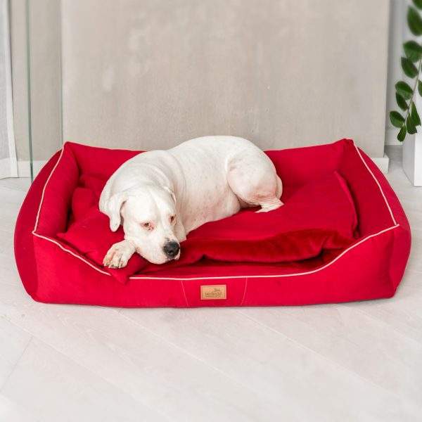 rudolph orthopädisches hundebett, inkl. schonbezug