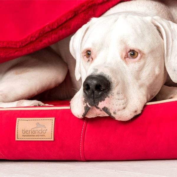 rudolph orthopädisches hundebett, inkl. schonbezug