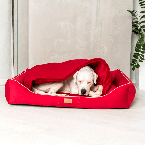 rudolph orthopädisches hundebett, inkl. schonbezug