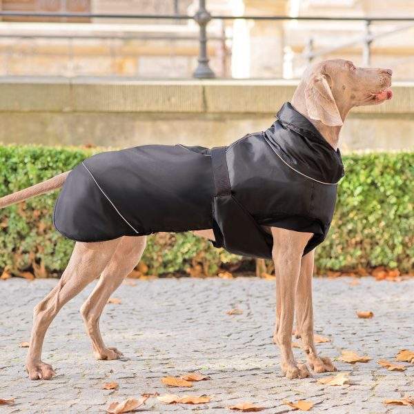 amy hundeparka hundemantel anti haar wetterfest große hunde xl xxl xxxl | hundejacke
