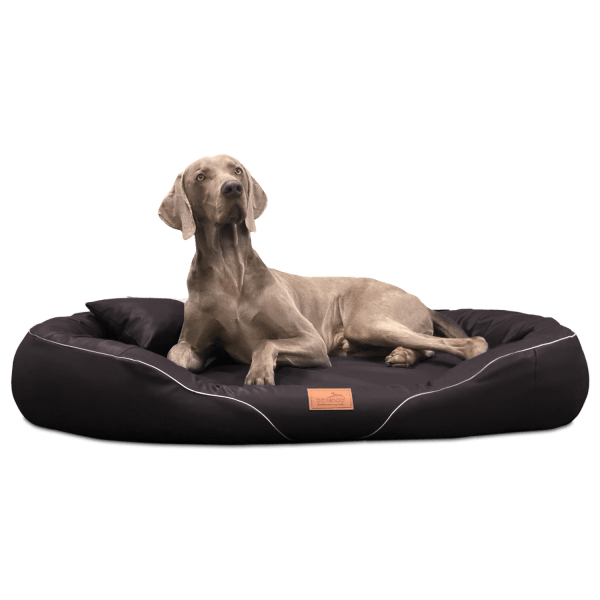 tiffany easy clean orthopädisches hundebett