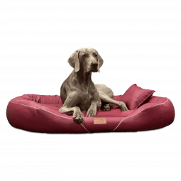 tif ll 04 dunkelrot tierlando orthopaedisches hundebett tiffany kunstleder anti allergiker easy clean 1.png