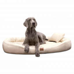 tif ll 05 creme tierlando orthopaedisches hundebett tiffany kunstleder anti allergiker easy clean 1.png