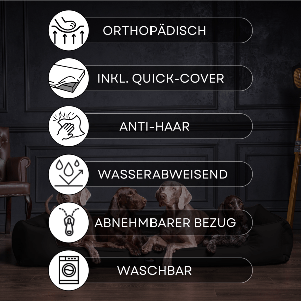 goofy orthopädisches hundebett