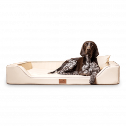 melody latex anti haar kunstleder | orthopädisches luxus hundebett