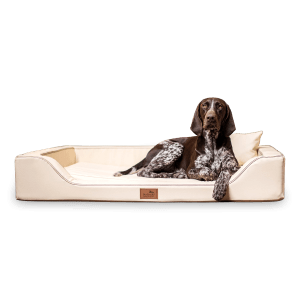 melody latex anti haar kunstleder | orthopädisches luxus hundebett