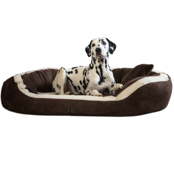 pepper soft orthopädisches hundesofa