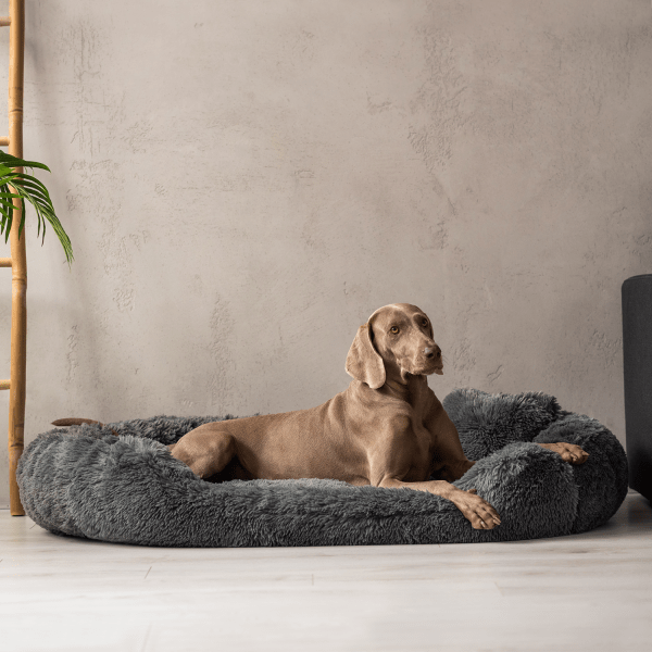 pamela shaggy orthopädisches hundebett