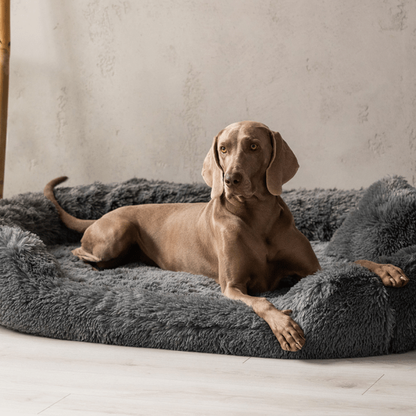 pamela shaggy orthopädisches hundebett