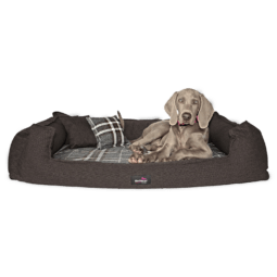 sc 01 braun scotch tierlando orthopaedisches hundebett xxl visco karo kariert 1.png