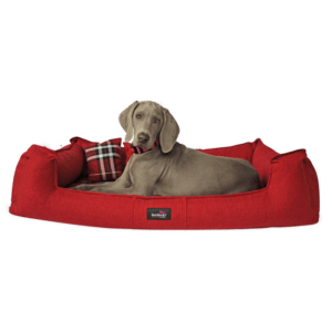 scotch visco 2 in 1 bezug orthopädisches hundebett