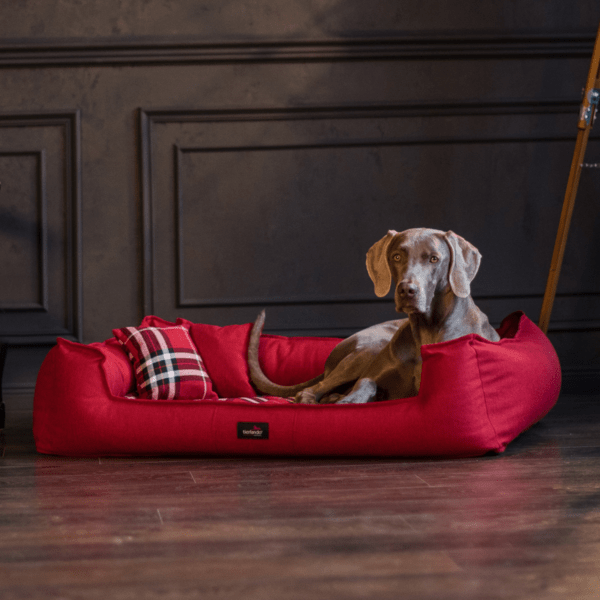 scotch visco 2 in 1 bezug orthopädisches hundebett