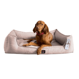 sca 07 rose scarlett melange hundebett tierlando 1.png